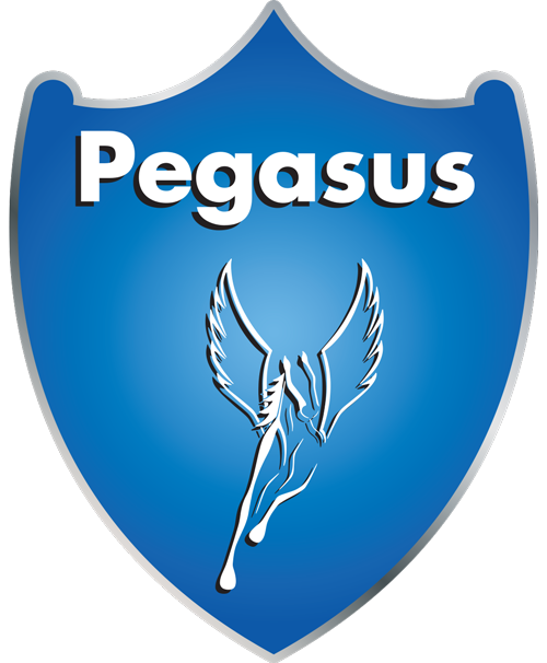 Pegasus