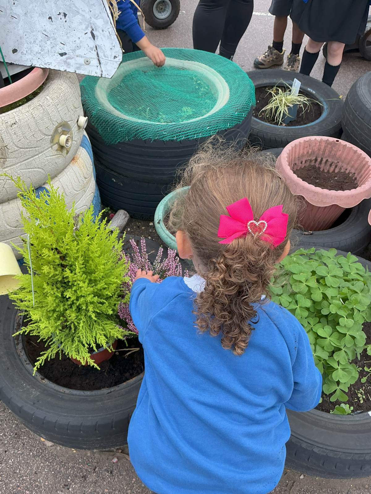 News in Nursery 12/10/26